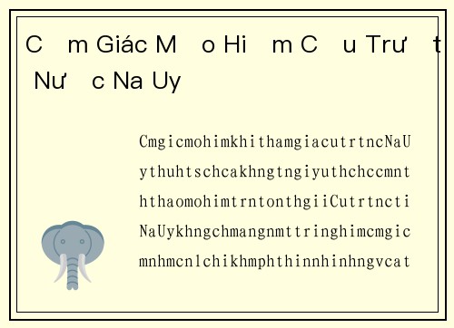 Cảm Giác Mạo Hiểm Cầu Trượt Nước Na Uy