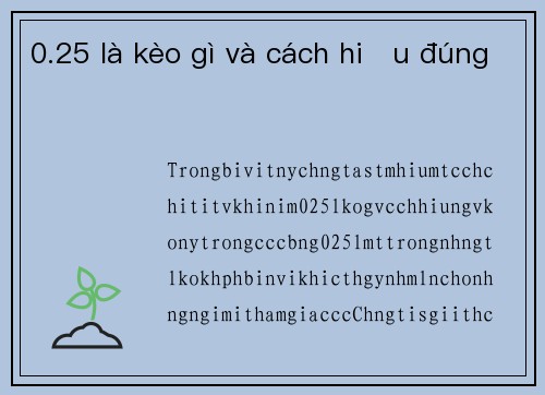 0.25 là kèo gì và cách hiểu đúng