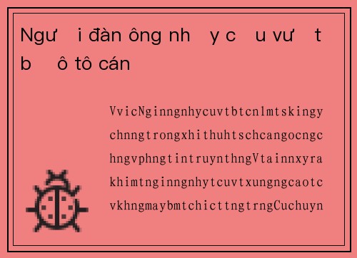 Người đàn ông nhảy cầu vượt bị ô tô cán